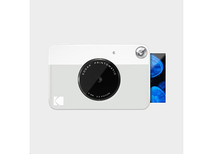 Kodak Printomatic Grey