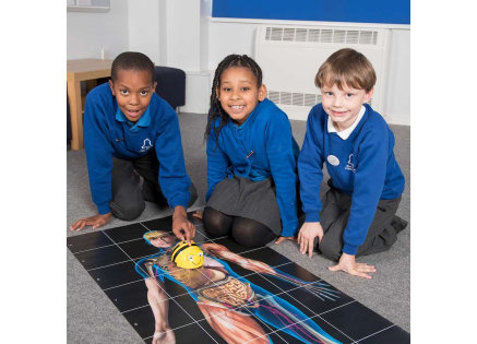 TT - Bee-Bot Podložká Lidské tělo