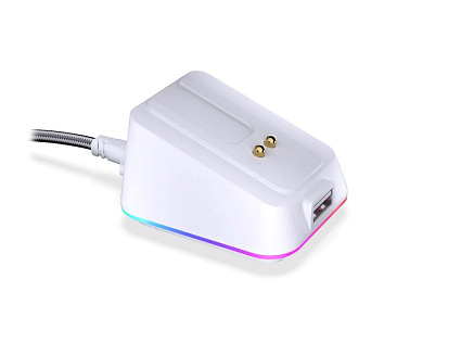 ENDORFY Dokovací stanice pro LIV a LIV Plus, USB, RGB, bílá
