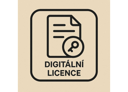 PAC-MAN CHAMPIONSHIP EDITION 2