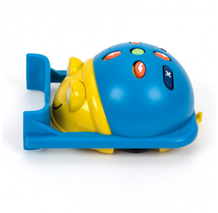 TT - Bee-Bot & Blue-Bot radlice