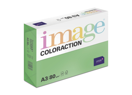 Antalis Papír Image Coloraction Dublin - tmavě zelená (DG47) A3 (80g/500ks) Antalis Papír Image Coloraction Dublin - tmavě zelená (DG47) A3 (80g/500ks)