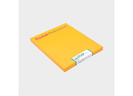 Kodak TRI-X PAN TXP 320 FILM 8x10 10 SH Kodak TRI-X PAN TXP 320 FILM 8x10 10 SH