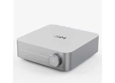 WiiM Amp Silver WiiM Amp Silver