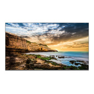 SMART Signage LED QE55T 55" LH55QETELGCXEN