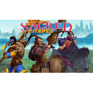 Sacred Citadel (PC) klíč Steam