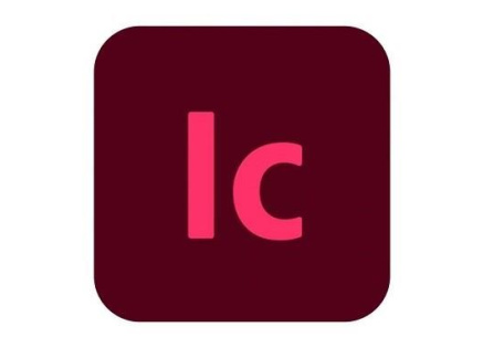 InCopy for teams MP ML (+CZ) Commercial 1 User, 12 Months, Level 3, 50-99 Lic