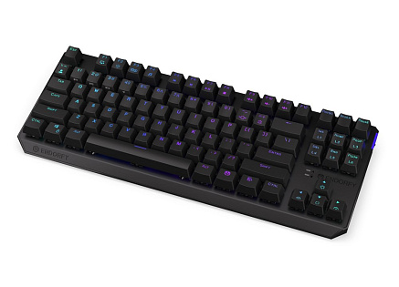 ENDORFY Klávesnice Thock TKL Wireless CZ Brown, Mechanická, Bezdrátová, ARGB, černá
