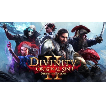 Divinity: Original Sin (PC) DIGITAL Divinity: Original Sin (PC) DIGITAL