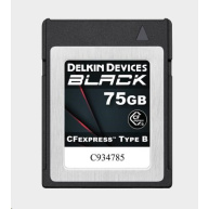 Delkin CFexpress BLACK R1725/W1240 75GB
