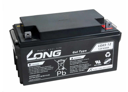 Long 12V 65Ah olověný akumulátor M6 LongLife (WPL65-12AN)