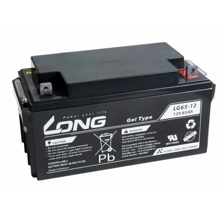 Long 12V 65Ah olověný akumulátor M6 LongLife (WPL65-12AN)