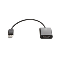 HP DisplayPort To DVI-D Adapter