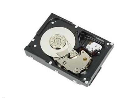 DELL 1TB 7.2K RPM SATA 6Gbps 512n 3.5in Cabled drive