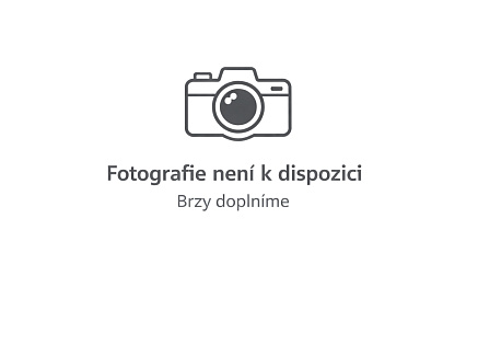 Main Assembly (PC) klíč Steam