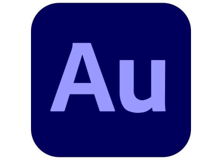 Audition for teams MP ML Commercial 1 User, 12 Months, Level 4, 100+ Lic Audition for teams MP ML Commercial 1 User, 12 Months, Level 4, 100+ Lic