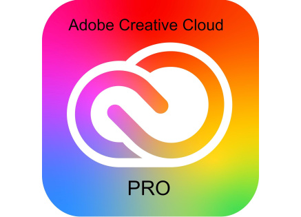 Adobe Creative Cloud Pro for teams MP ML (+CZ) Government 1 User, 12 Months, Level 2, 10 - 49 Lic