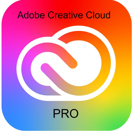 Adobe Creative Cloud Pro for teams MP ML (+CZ) Government 1 User, 12 Months, Level 2, 10 - 49 Lic