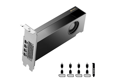 PNY VGA NVIDIA RTX PRO 2000 Blackwell 16G, 16G GDDR7, 4xmDP PNY VGA NVIDIA RTX PRO 2000 Blackwell 16G, 16G GDDR7, 4xmDP