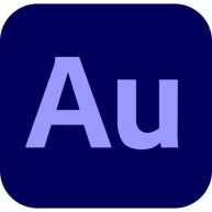 Audition for teams MP ML Government 1 User, 12 Months, Level 4, 100+ Lic