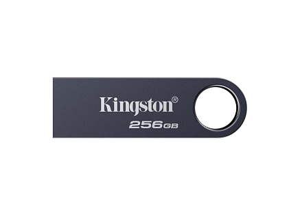 Kingston Flash Disk 256GB DataTraveler SE9 G3, USB 3.2 Gen 1, šedá