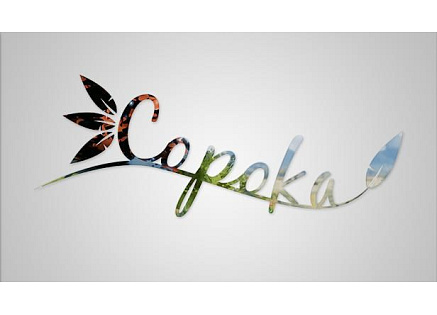 Copoka (PC) klíč Steam