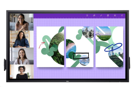 DELL LCD P6524QT - 65"/IPS/LED/4K UHD/3840x2160/16:9/Touch/60Hz/9ms/1300:1/350 cd/m2/HDMI/DP/VESA/3YNBD(210-BJKJ)