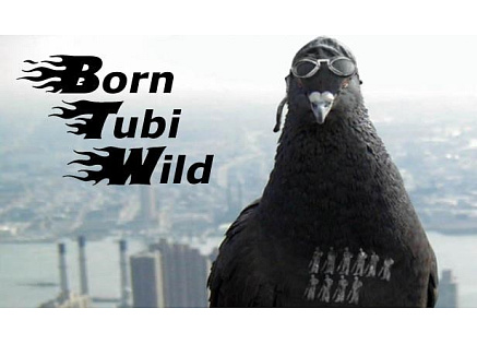Born Tubi Wild (PC) klíč Steam