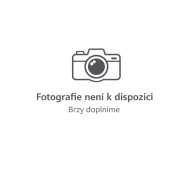 Mio MiVue E40 Starvis 2