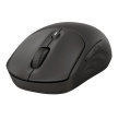 HP myš - HP 405 Quiet Black Wireless Mouse