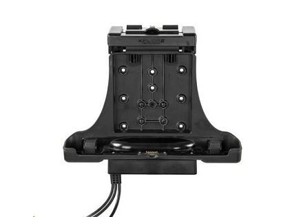 Zebra vehicle charging station