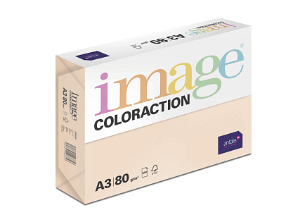 Antalis Papír Image Coloraction Savana - meruňková (SA24) A3 (80g/500ks) Antalis Papír Image Coloraction Savana - meruňková (SA24) A3 (80g/500ks)