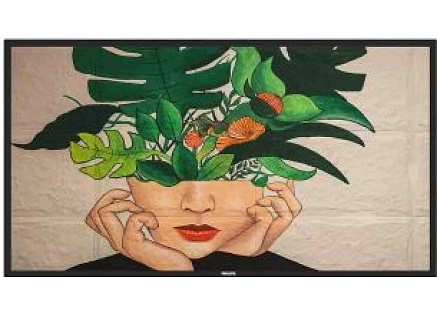 Philips LED display 75" 75BDL4550D Philips LED display 75" 75BDL4550D