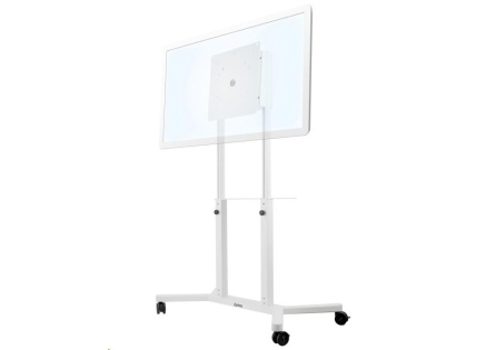 Profesionální stojan na Na televize a monitory 43“ až 65“ TRF100