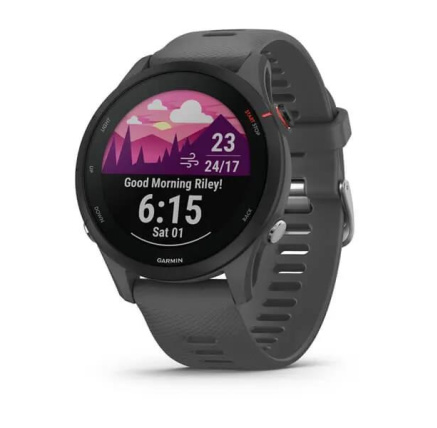 Garmin GPS sportovní hodinky Forerunner® 255, Slate Gray, EU