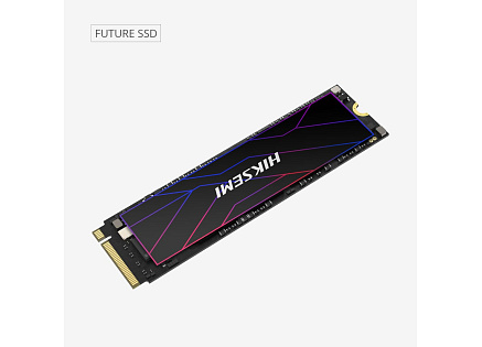 HIKSEMI SSD FUTURE 512GB, M.2 2280, PCIe Gen4x4, R7050/W4200