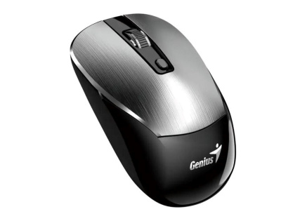 GENIUS myš NX-7125 Silver/ 1200 dpi/ bezdrátová/ Copilot/ stříbrná