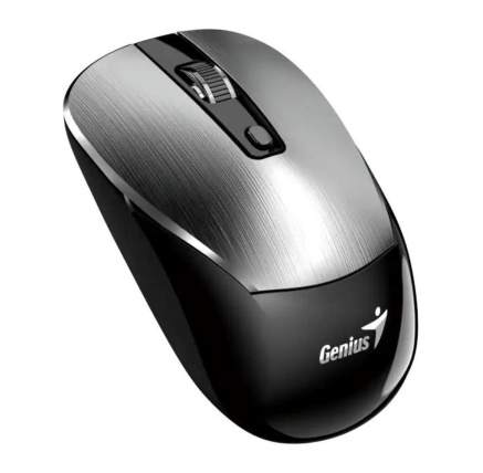 GENIUS myš NX-7125 Silver/ 1200 dpi/ bezdrátová/ Copilot/ stříbrná