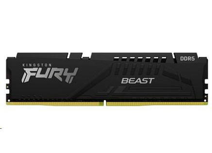 KINGSTON DIMM DDR5 16GB 5600MT/s CL36 FURY Beast Černá EXPO