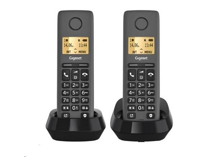 Gigaset Basic 100 Duo Black