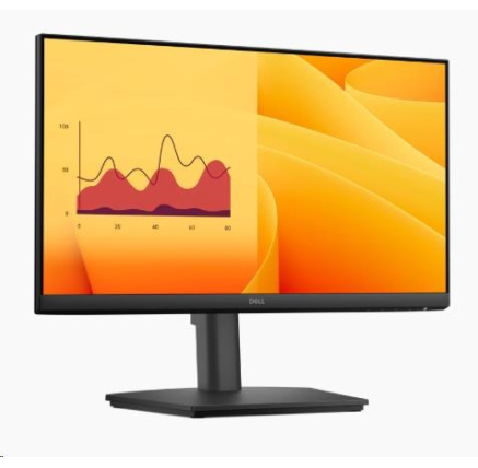 DELL LCD E2225HSM - 21,5"/VA/LED/1920x1080/16:9/100Hz/5ms/3000:1/250 cd/m2/DP/VGA/HDMI/VESA/3YNBD (210-BRDT)