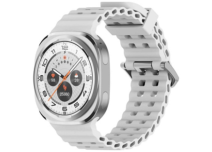 CARNEO GTR Falcon HR+ silver