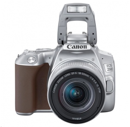 Canon EOS 250D zrcadlovka + 18-55 IS STM - stříbrná
