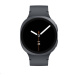 Samsung Galaxy Watch8 (44mm) grafitová, EU