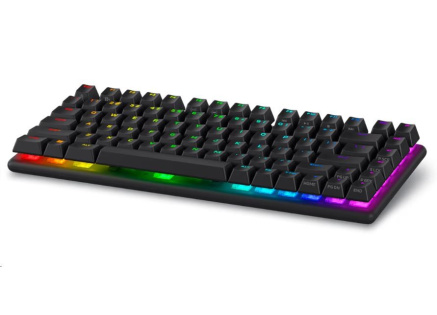 DELL Alienware Pro Wireless Gaming Keyboard - US (QWERTY) (Dark Side of the Moon)