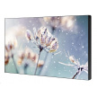 SAMSUNG LFD 46" -LH46VMTUBGBXEN - Video wall