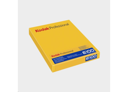 Kodak EKTACHROME E100 4X5 10 SHEETS