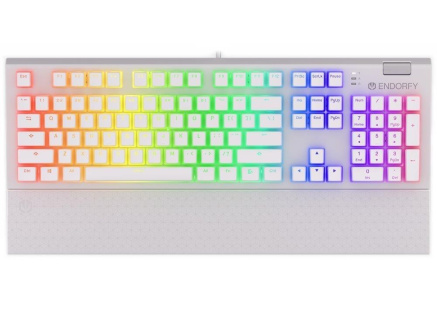 ENDORFY Klávesnice Omnis Pudding Onyx White Blue, Mechanická, USB, ARGB, bílá