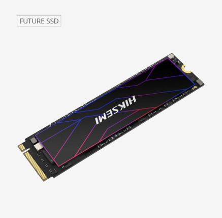 HIKSEMI SSD FUTURE 1024GB, M.2 2280, PCIe Gen4x4, R7450/W6600 HIKSEMI SSD FUTURE 1024GB, M.2 2280, PCIe Gen4x4, R7450/W6600