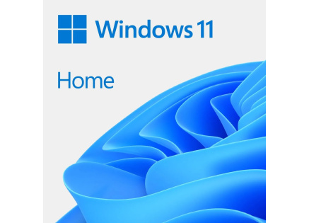 Windows Home 11 64-BIT ESD